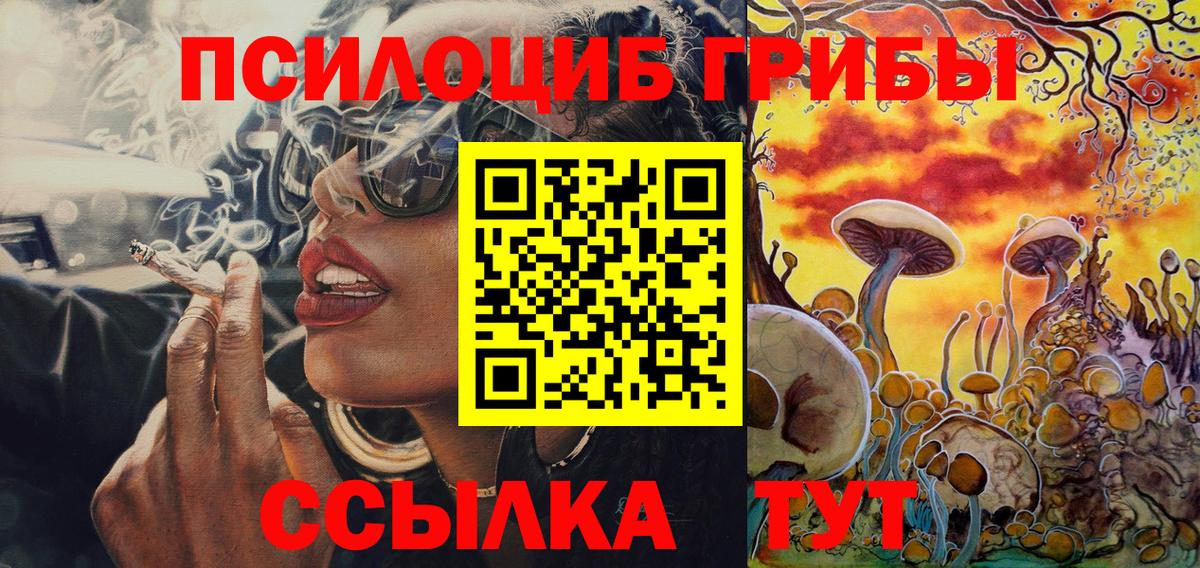 Псилоцибиновые грибы MAGIC MUSHROOMS Топки