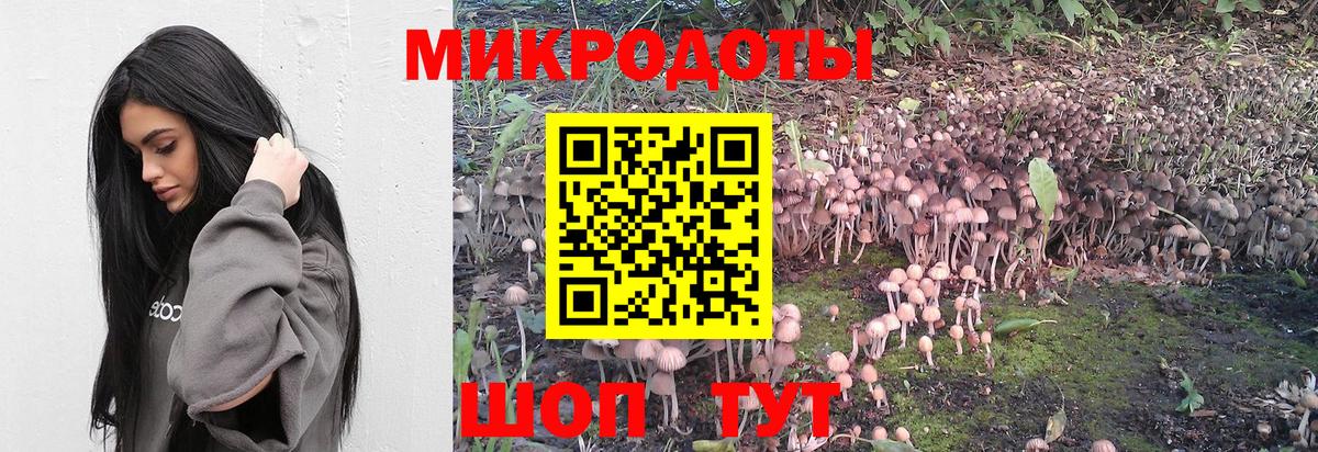 Галлюциногенные грибы мухоморы  Вход с VPN  наркошоп  Псилоцибиновые грибы Magic Shrooms  Топки 