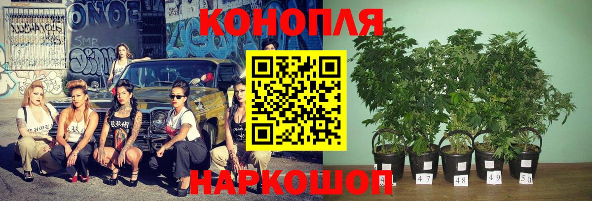 Конопля OG Kush  Вход с VPN  МАРИХУАНА White Widow  Марихуана Bruce Banner  Топки 